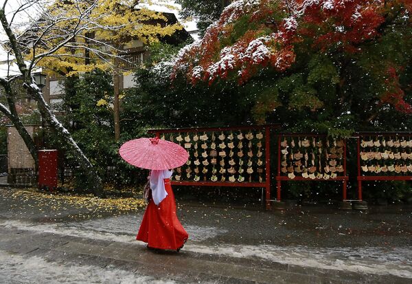 Девушка во время снегопада возле Храма Цуругаока-Хатиман-гу в Камакуре, Япония