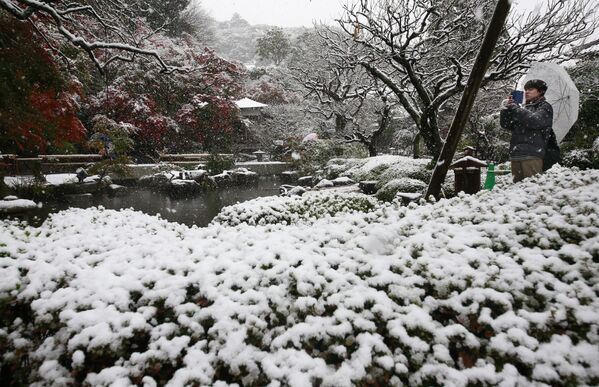 Посетительница во время снегопада в храме Хасэ в Камакуре, Япония
