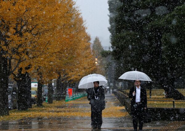 Мужчины во время снегопада в парке Токио, Япония