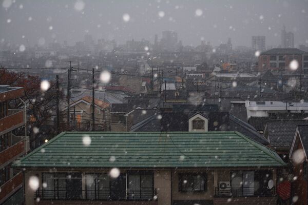Снегопад в Токио, Япония