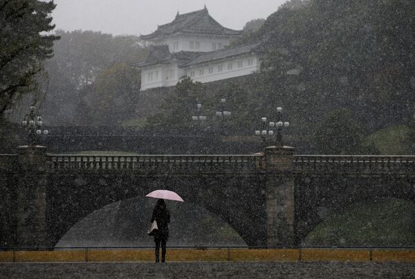 Прохожий во время снегопада на территории Императорского дворца в Токио, Япония