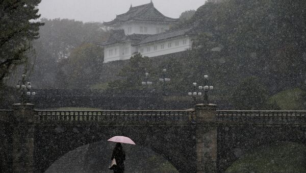 Посетительница Императорского дворца во время снегопада в Токио, Япония