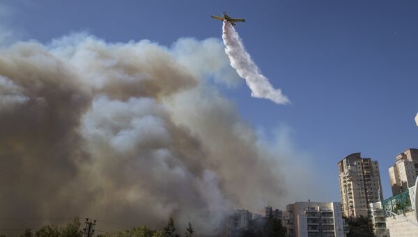 Израильский пожарный самолет во время тушения лесного пожара в городе Хайфа. Архивное фото