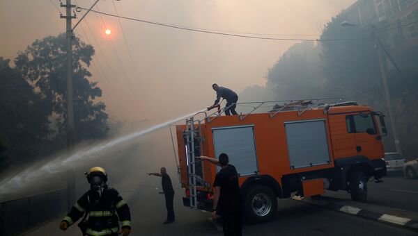 Пожарные тушат лесной пожар в городе Хайфа, Израиль. 24 ноября 2016