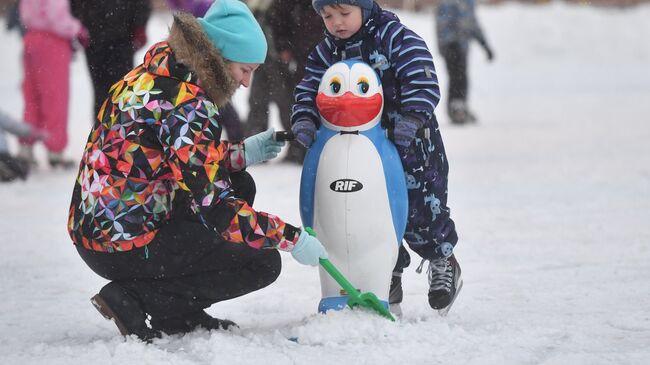 Горожане на катке Серебряный лед, открывшемся сегодня в Измайловском парке в Москве