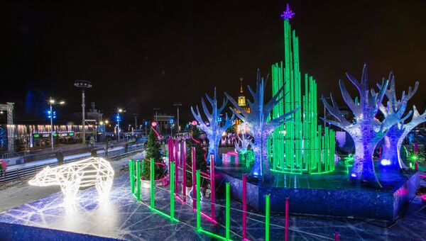 Во время праздничного открытия третьего сезона катка ВДНХ в Москве. Архивное фото