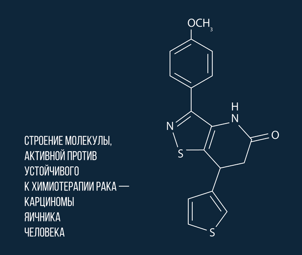 Строение молекулы, уничтожающей неуязвимый рак Строение молекулы, уничтожающей неуязвимый рак