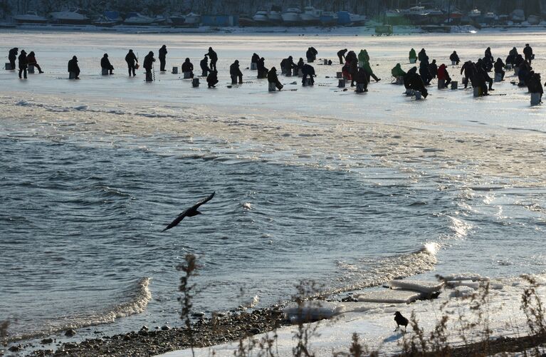 Рыбалка в бухте Новик острова Русский во Владивостоке