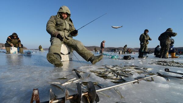 Рыбаки-любители в бухте Новик острова Русский во Владивостоке