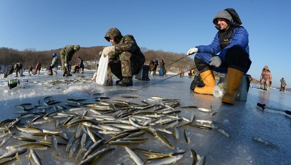 Рыбаки-любители в бухте Новик острова Русский во Владивостоке