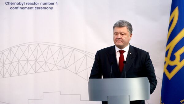 Президент Украины Петр Порошенко на торжественном мероприятии по случаю завершения строительства нового укрытия над четвертым энергоблоком Чернобыльской АЭС. 29 ноября 2016