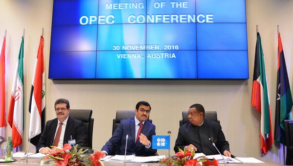 Председатель конференции ОПЕК, министр энергетики Катара Мухаммед бен Салех ас-Сада на официальной встрече ОПЕК в Вене