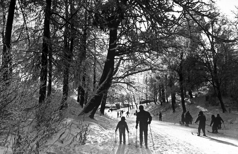 Лыжная прогулка в Измайловском парке. Москва, 1968 Лыжная прогулка в Измайловском парке. Москва, 1968