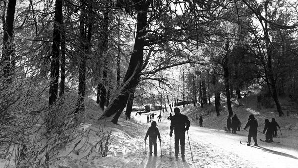 Лыжная прогулка в Измайловском парке. Москва, 1968