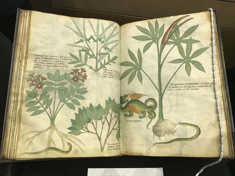 Экпонат выставки, посвященной 20-летию первой книги о Гарри Поттере Экпонат выставки, посвященной 20-летию первой книги о Гарри Поттере