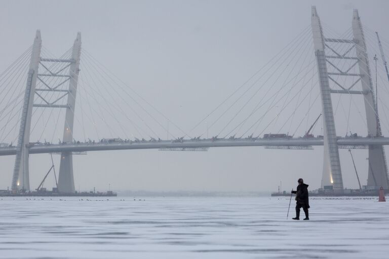 Центральный участок Западного скоростного диаметра в Санкт-Петербурге