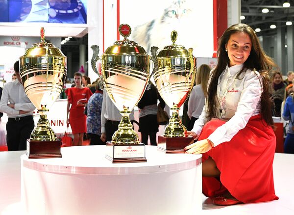 Стол с кубками для участников выставки Гран-при Royal Canin в Москве