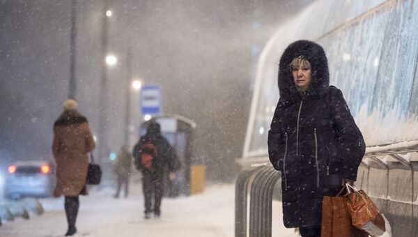 Прохожие у станции метро Новокосино в Москве во время снегопада