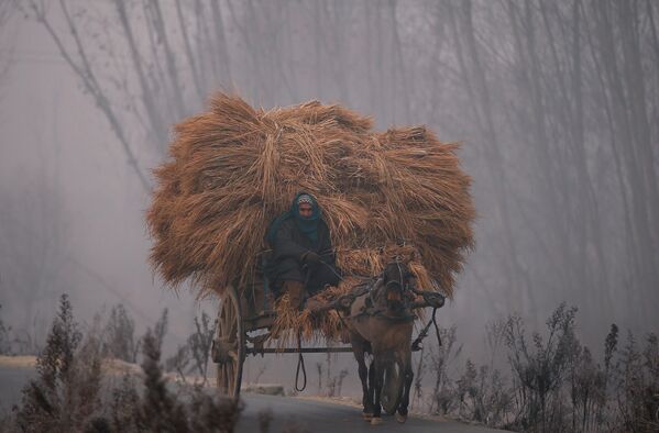 Человек едет на телеге холодным зимним утром на окраине Сринагара, Индия