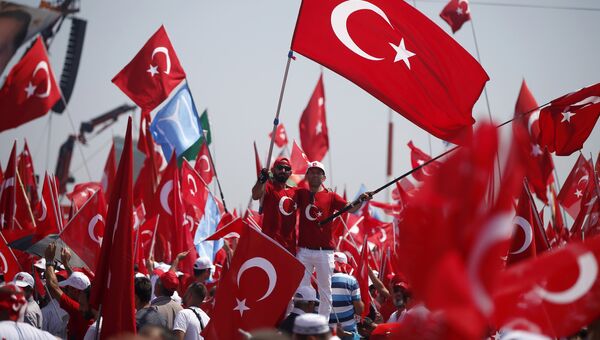 Демонстранты с турецкими флагами в Стамбуле. Архивное фото