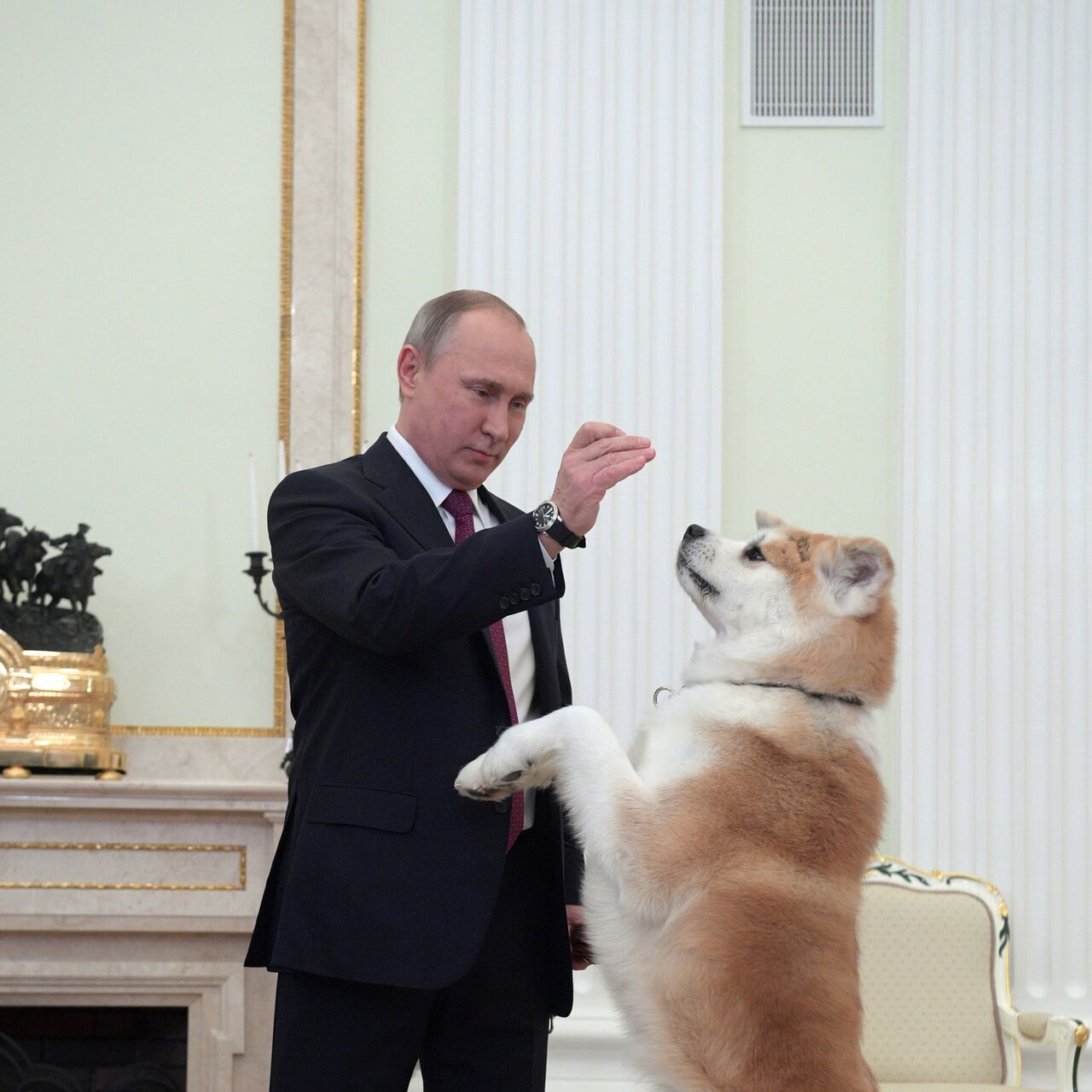 Собаки Путина Фото Какие Есть