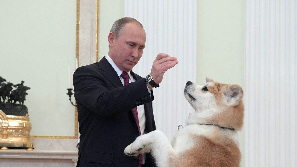 "Спасибо, президент". Японцы неожиданно поблагодарили Путина