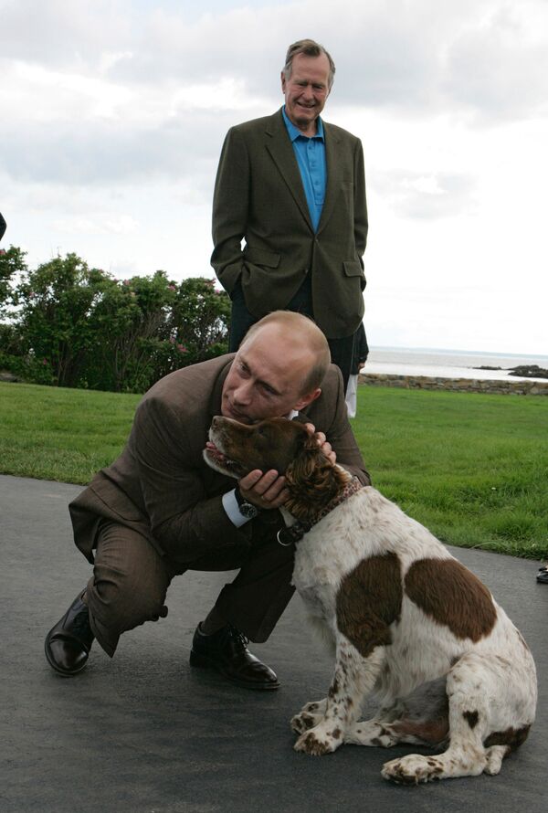 Какой Породы Собака У Путина Фото