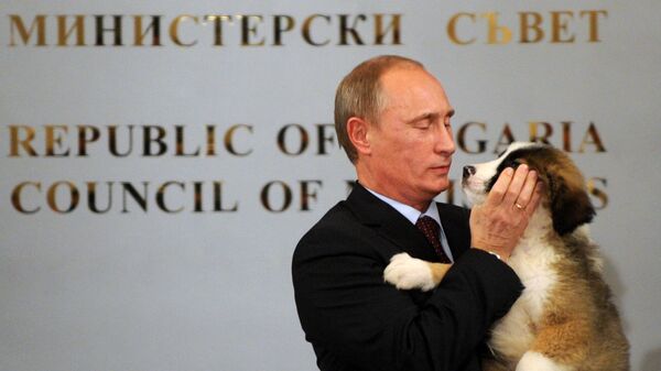 Владимир Путин с собакой, подаренной ему болгарским премьер-министром Бойко Борисовым после их пресс-конференции в Софии, Болгария