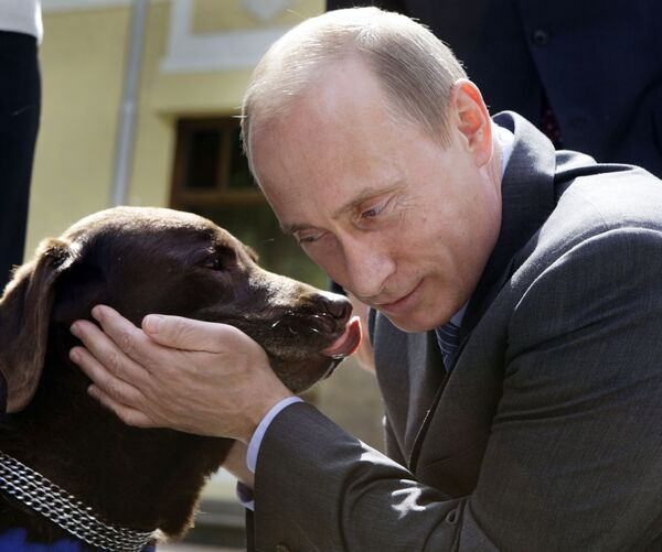 Порода Собаки У Путина Лабрадор Фото