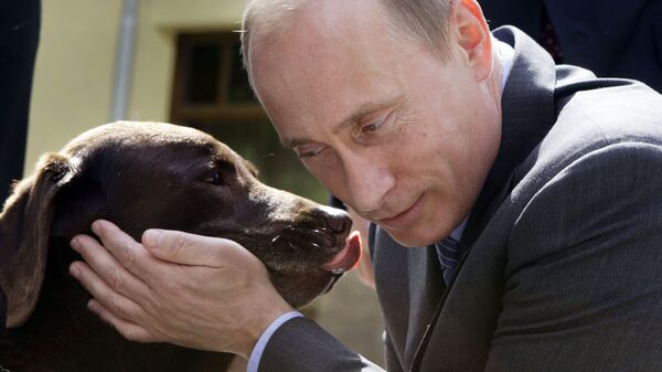 Владимир Путин с собакой породы лабрадор по кличке Тоник во время встречи с российскими спасателями в резиденции Ново-Огарево. 6 июня 2008