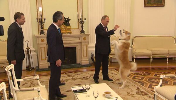 Путин показал японским журналистам собаку Юмэ