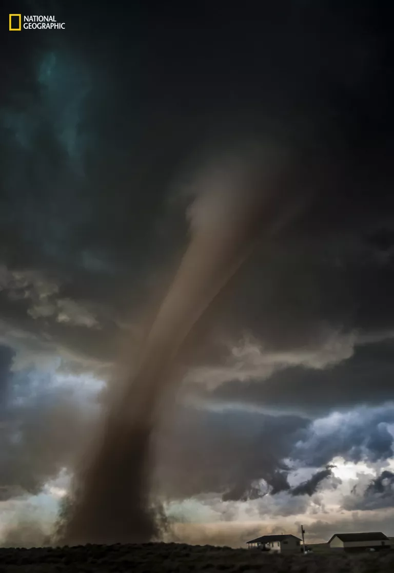 Работа фотографа Tori Shea-Ostberg Approach для конкурса 2016 National Geographic Nature Photographer of the Year Работа фотографа Tori Shea-Ostberg Approach для конкурса 2016 National Geographic Nature Photographer of the Year
