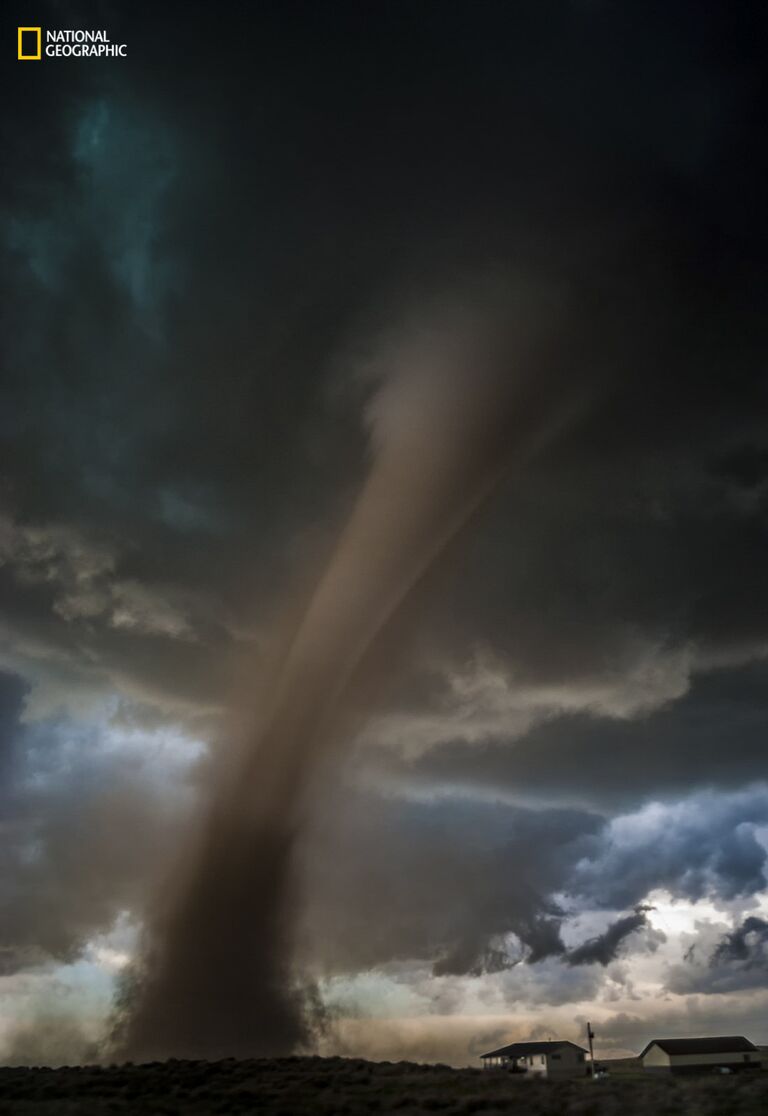 Работа фотографа Tori Shea-Ostberg Approach для конкурса 2016 National Geographic Nature Photographer of the Year