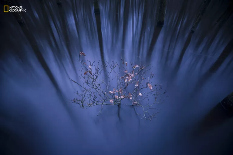 Работа фотографа Jacob Kaptein Struggle of life для конкурса 2016 National Geographic Nature Photographer of the Year Работа фотографа Jacob Kaptein Struggle of life для конкурса 2016 National Geographic Nature Photographer of the Year