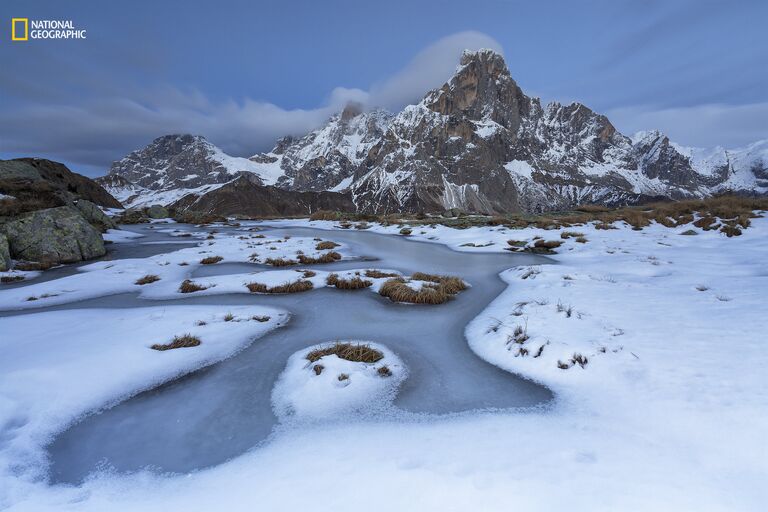 Работа фотографа Alessandro Gruzza Wild rink для конкурса 2016 National Geographic Nature Photographer of the Year