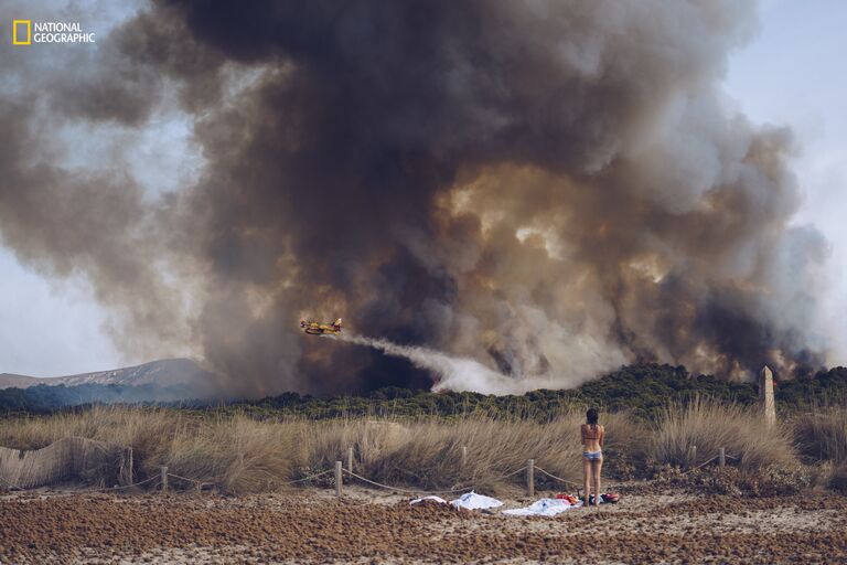 Работа фотографа Sergej Chursyn Wildfire at the beach для конкурса 2016 National Geographic Nature Photographer of the Year