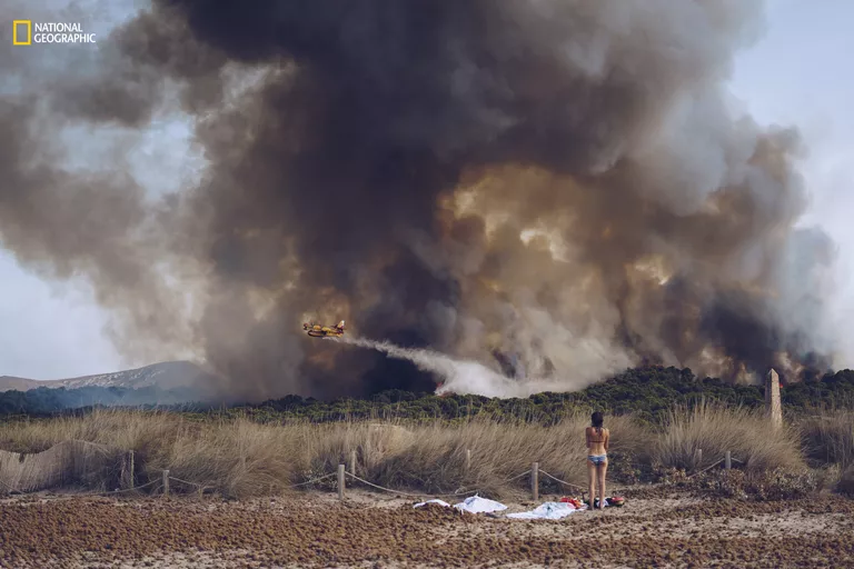 Работа фотографа Sergej Chursyn Wildfire at the beach для конкурса 2016 National Geographic Nature Photographer of the Year Работа фотографа Sergej Chursyn Wildfire at the beach для конкурса 2016 National Geographic Nature Photographer of the Year