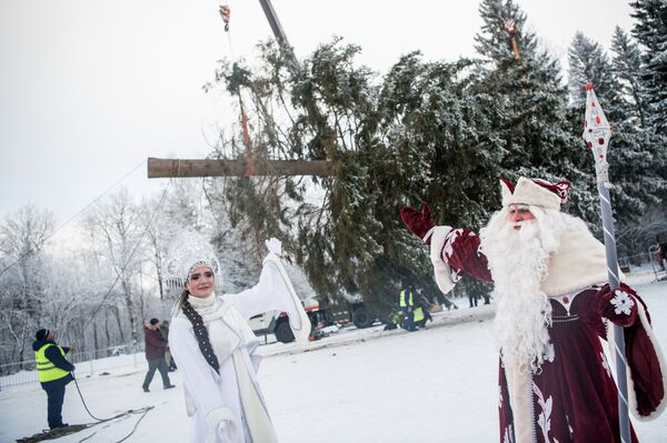 Дед Мороз и Снегурочка на церемонии рубки и транспортировки главной новогодней ели России на территории Истринского лесничества
