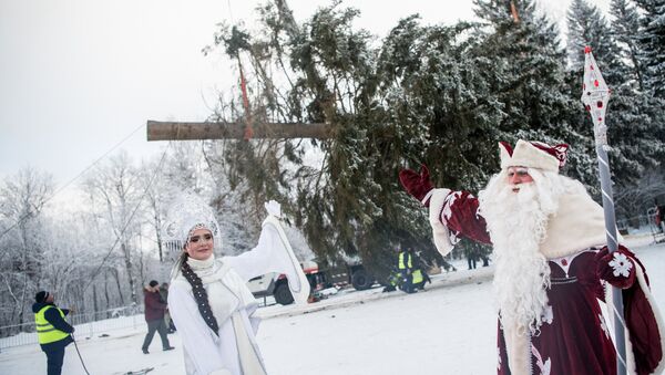 Дед Мороз и Снегурочка на церемонии рубки и транспортировки главной новогодней ели России на территории Истринского лесничества