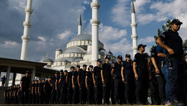 Турецкие полицейские. Архивное фото