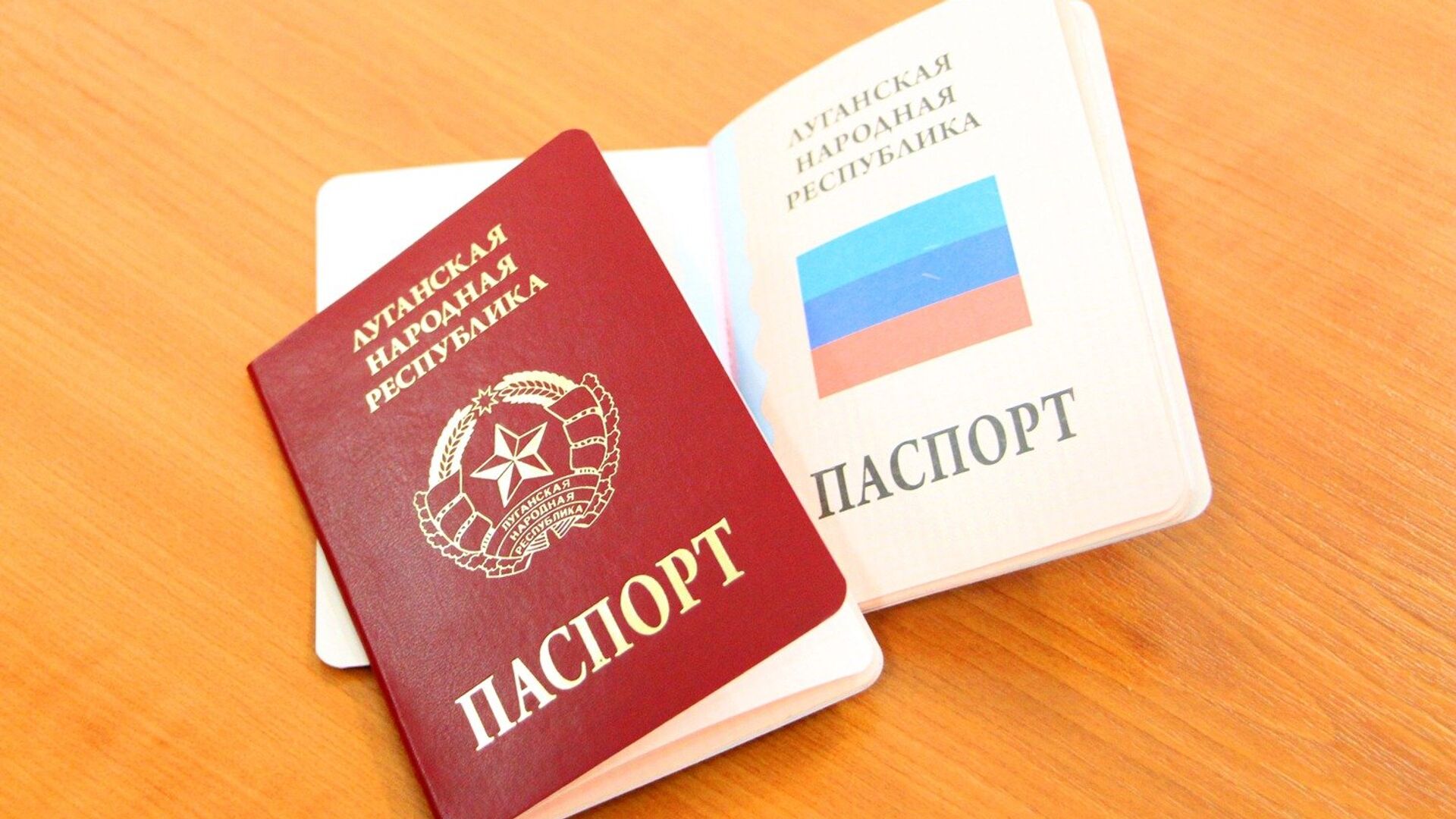 Паспорт ЛНР - РИА Новости, 1920, 17.02.2022