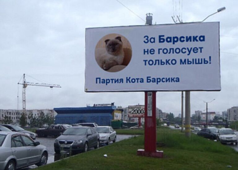 Кот-политик Барсик выдвинет свою кандидатуру на выборах президента Российской Федерации Кот-политик Барсик выдвинет свою кандидатуру на выборах президента Российской Федерации