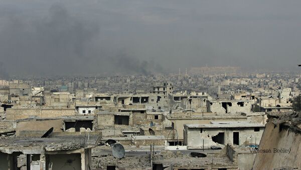 Вид на кварталы Алеппо. Архивное фото