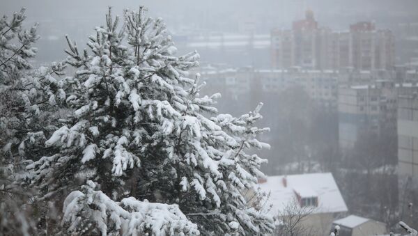 Снегопад в Крыму. Архивное фото