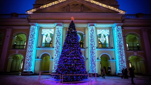 Новогодняя елка у Гостиного двора в Санкт-Петербурге. Архивное фото.