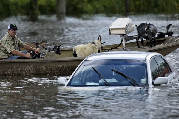 Мужчина спасает животных во время наводнения в Гонзалес, штат Луизиана, США