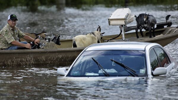 Мужчина спасает животных во время наводнения в Гонзалес, штат Луизиана, США