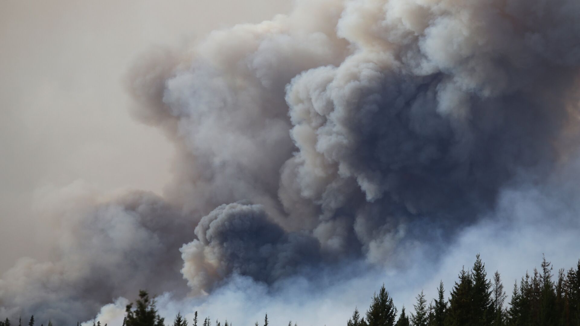 Лесной пожар в Канаде - РИА Новости, 1920, 04.06.2023