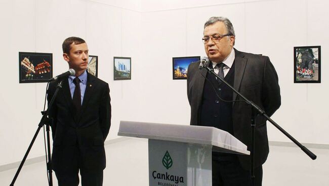 Посол России в Турции Андрей Карлов на открытии фотовыставки в Центре современного искусства в Анкаре. Архивное фото