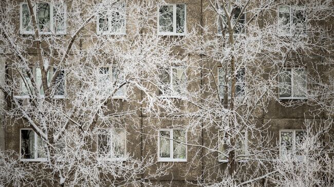Аномальные морозы в Омске. Архивное фото